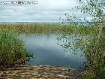 Esteros del Iberá, Corrientes