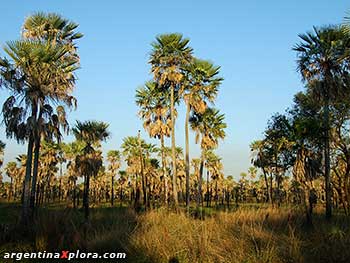 Parque Nacional Río Pilcomayo