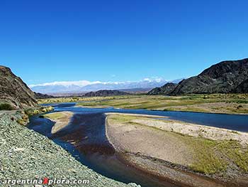 Confluencia Río de los Patos con Río San Juan