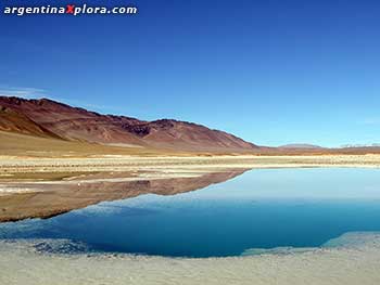 Ojos de mar en Tolar Grande. Puna