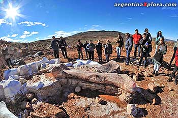 El equipo de paleontólogos del Museo Egidio Feruglio en el sitio del hallazgo. Chubut