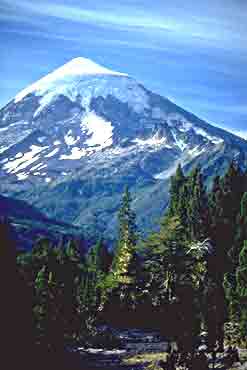 Vista del Volcán Lanin y Parque Nacional Neuquén