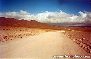 Recta del Tin-Tin