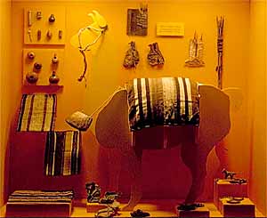 Exposición de la Puna al Chaco