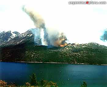 Incendio forestal en Lago Puelo, Chubut