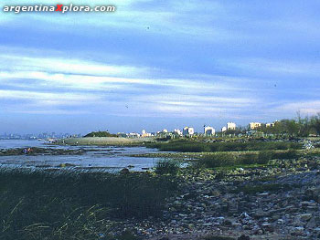 Costa contaminada del Río de la Plata