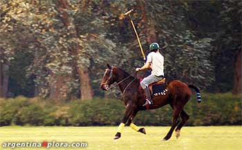 En muchas estancias se puede practicar el polo