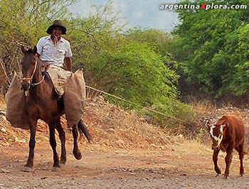 Usando los guardamontes en Talapampa - La Viña