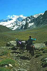 Subiendo al Aconcagua