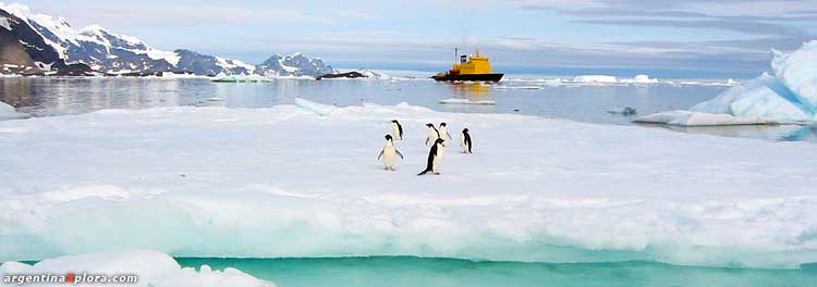 Rompehielos surcando los mares antárticos