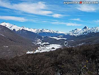 Bosque de lengas en Ushuaia