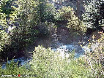 Bosque junto al RíoTraful, Neuquén