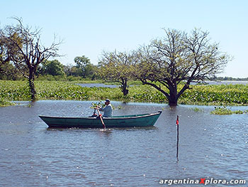 Canoero en el estero