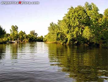 Delta del Tigre. Provincia de Buenos Aires