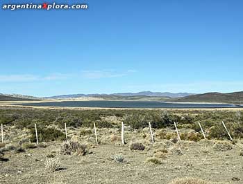 Las Ovejas, norte del Neuquén