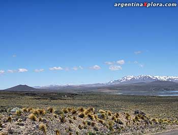 Estepa en Aluminé, Neuquén