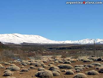 Las Ovejas, norte del Neuquén