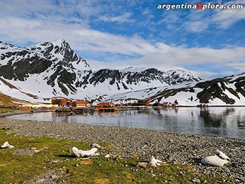 Estacion ballenera Grytviken en la Isla San Pedro,
Archipielago Georgias del Sur