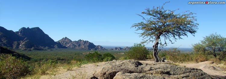 Ecorregion de Monte de Sierras y Bolsones - Londres, Catamarca, El Shinkal.