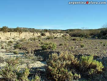 Meseta en Gaiman, Chubut