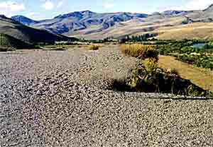 Meseta patagonica