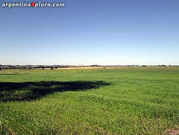 Pampa cultivada en Crespo, Entre Ríos