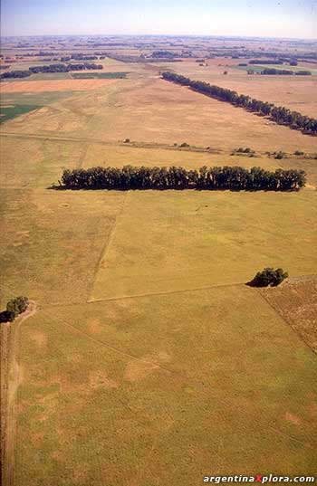 Vista aérea de la pampa argentina