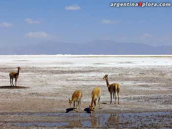 reservas Naturales de Argentina