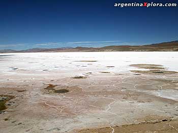 Salar Pastos Grandes en la Puna de Salta