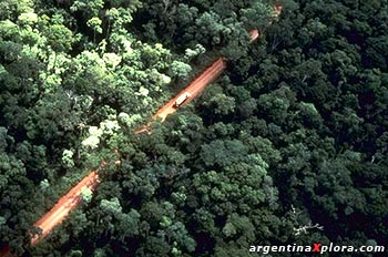 Tierra rojiza, típico rasgo de la selva misionera