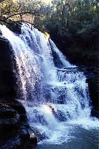 cascada en la Huellas de osito lavador