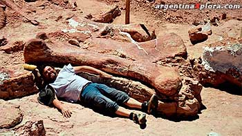 Hallaron fósiles de dinosaurio en Chubut