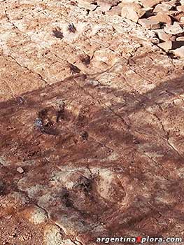 Huellas de dinosaurios en la costa del Embalse Ramos Mexia