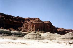 Valle de la luna arcosaurios