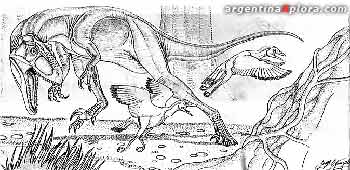 Carnívoro Noasaurus 
