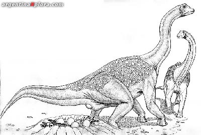 Titanosaurio Saltasaurus
