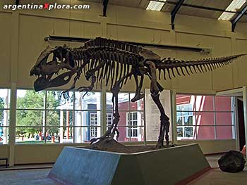 Carcharodontosaurios