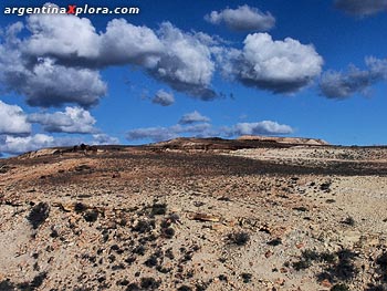 vista bosque petrificado jaramillo