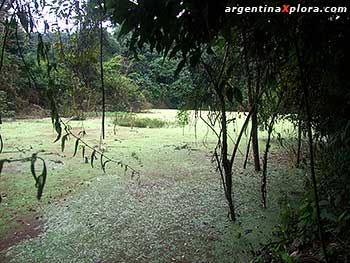 Lagunita Calilegua