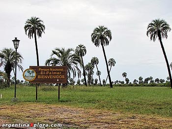 Acceso al Parque Nacional El Palmar