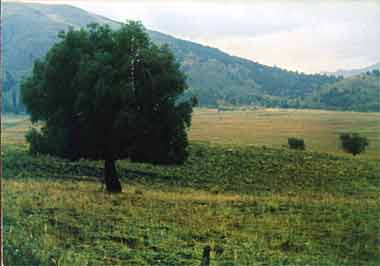 cerca del Lago Huechulaufquen