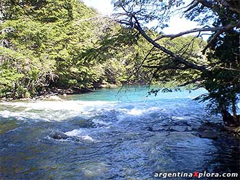 Rápidos del Río Manso