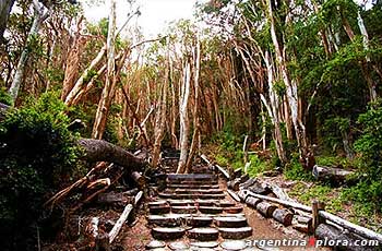 sendero Quetrihue