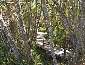 Pasarela dentro del Parque Nacional Pre-Delta