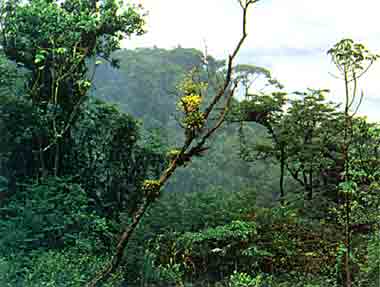 Parque Nacional El Rey