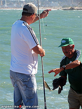 Pesca de pejerreyes