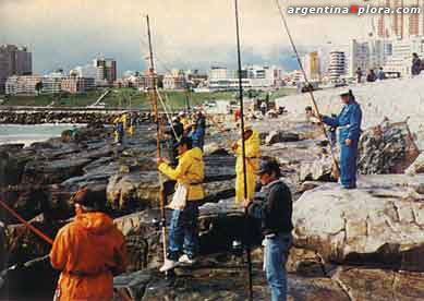 Pesca en Mar del Plata