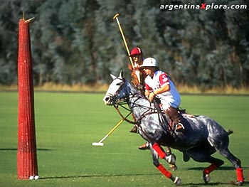 Polo chukker y gol