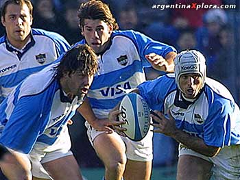 Los pumas