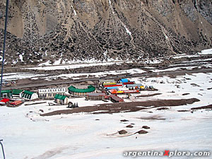 penitentes